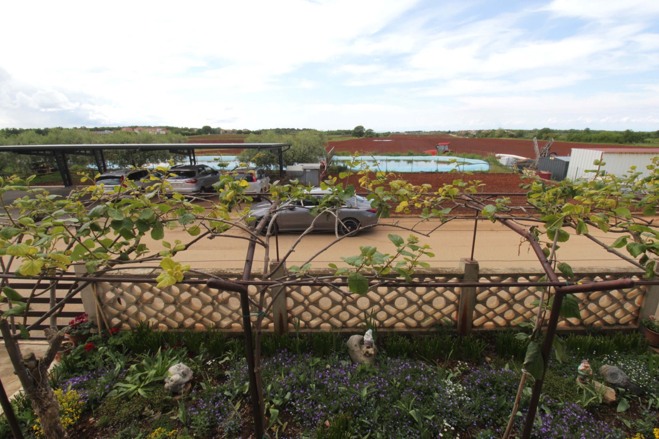 Photo of Apartment Tre pini 1