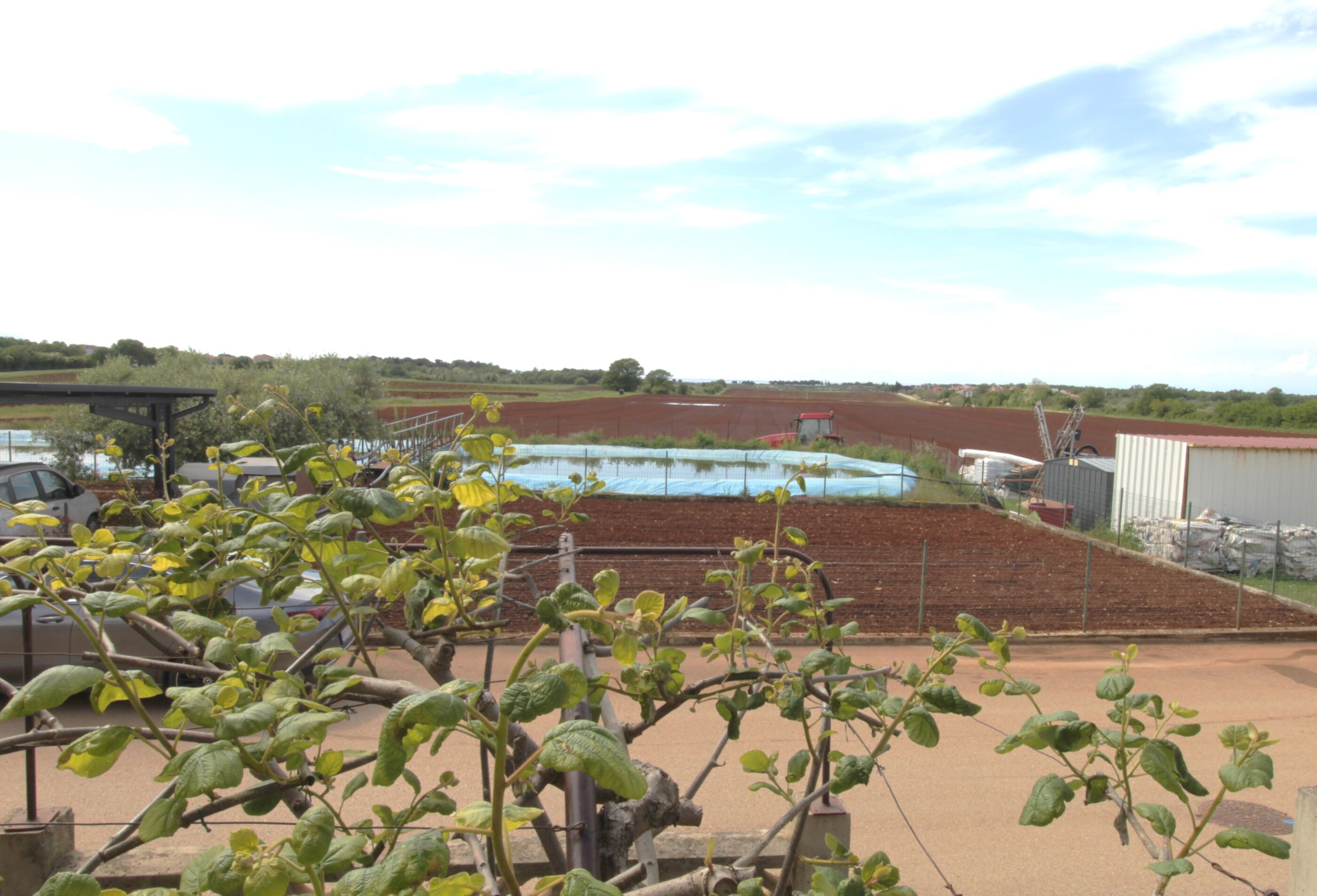 Photo of Apartment Tre pini 2