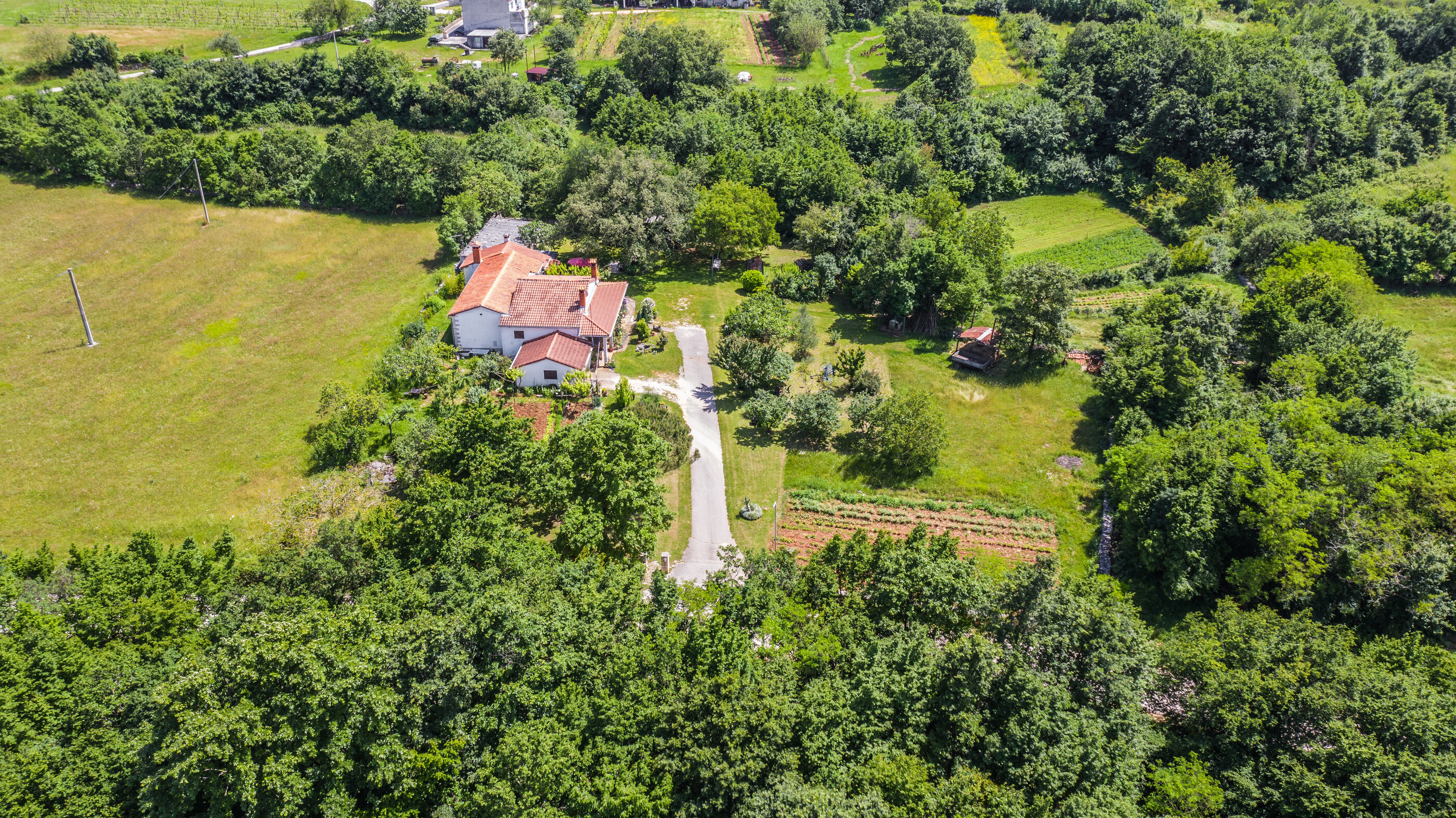 Apartment Lucija 101511-A1