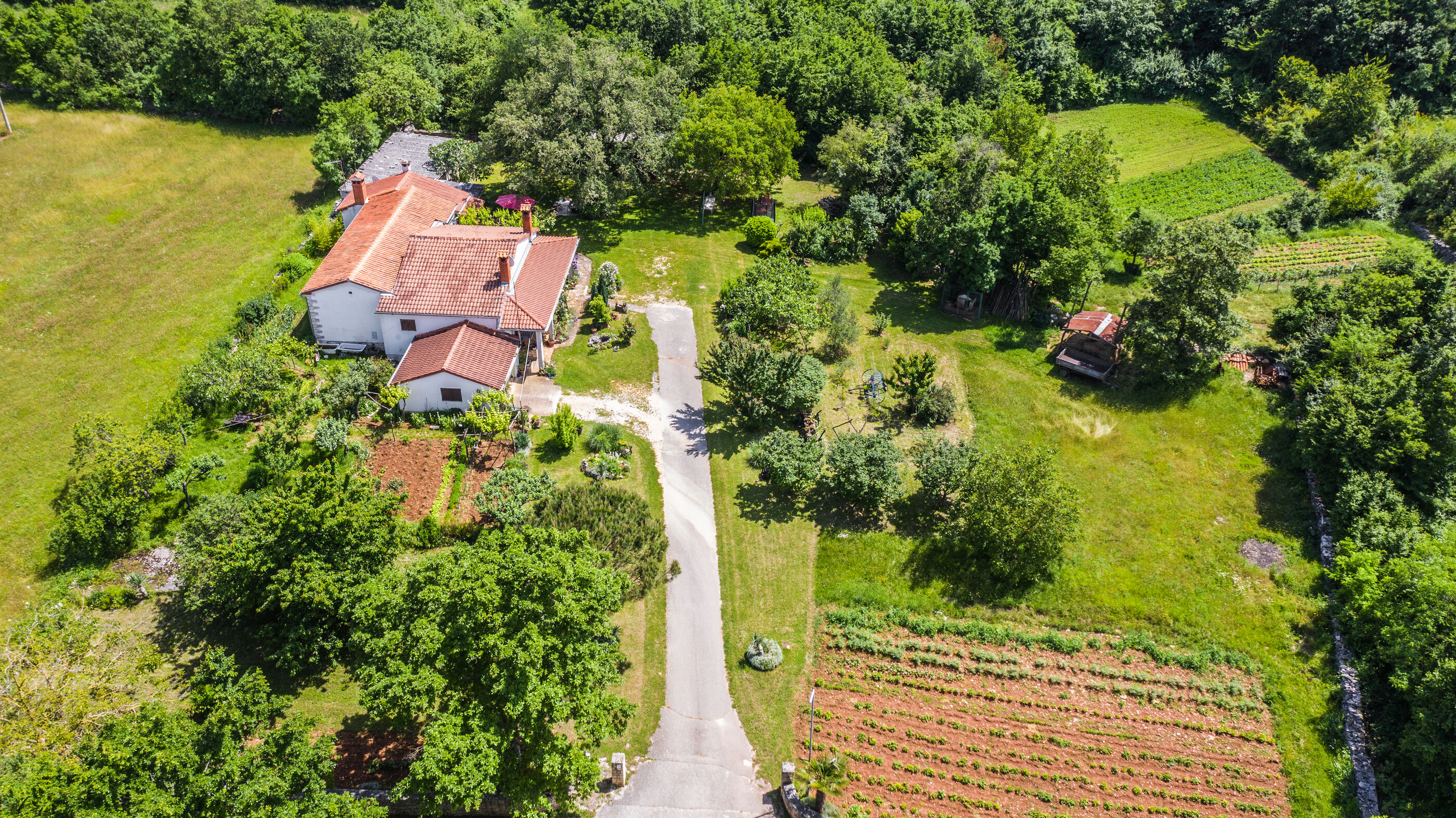 Apartment Lucija 101511-A1