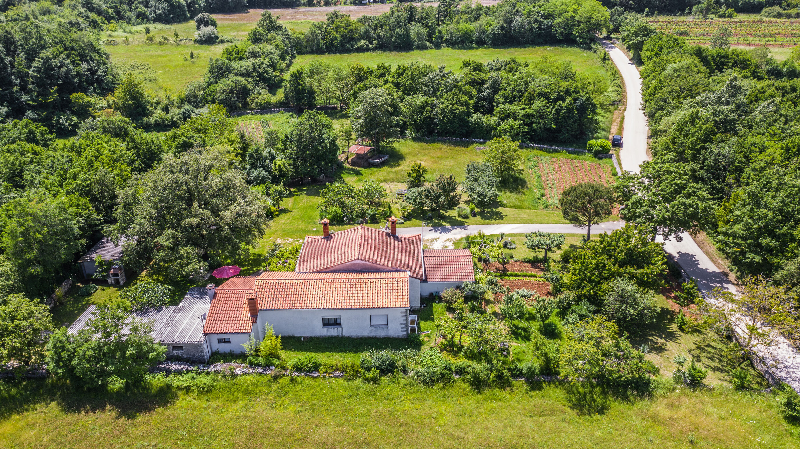 Apartment Lucija 101511-A1