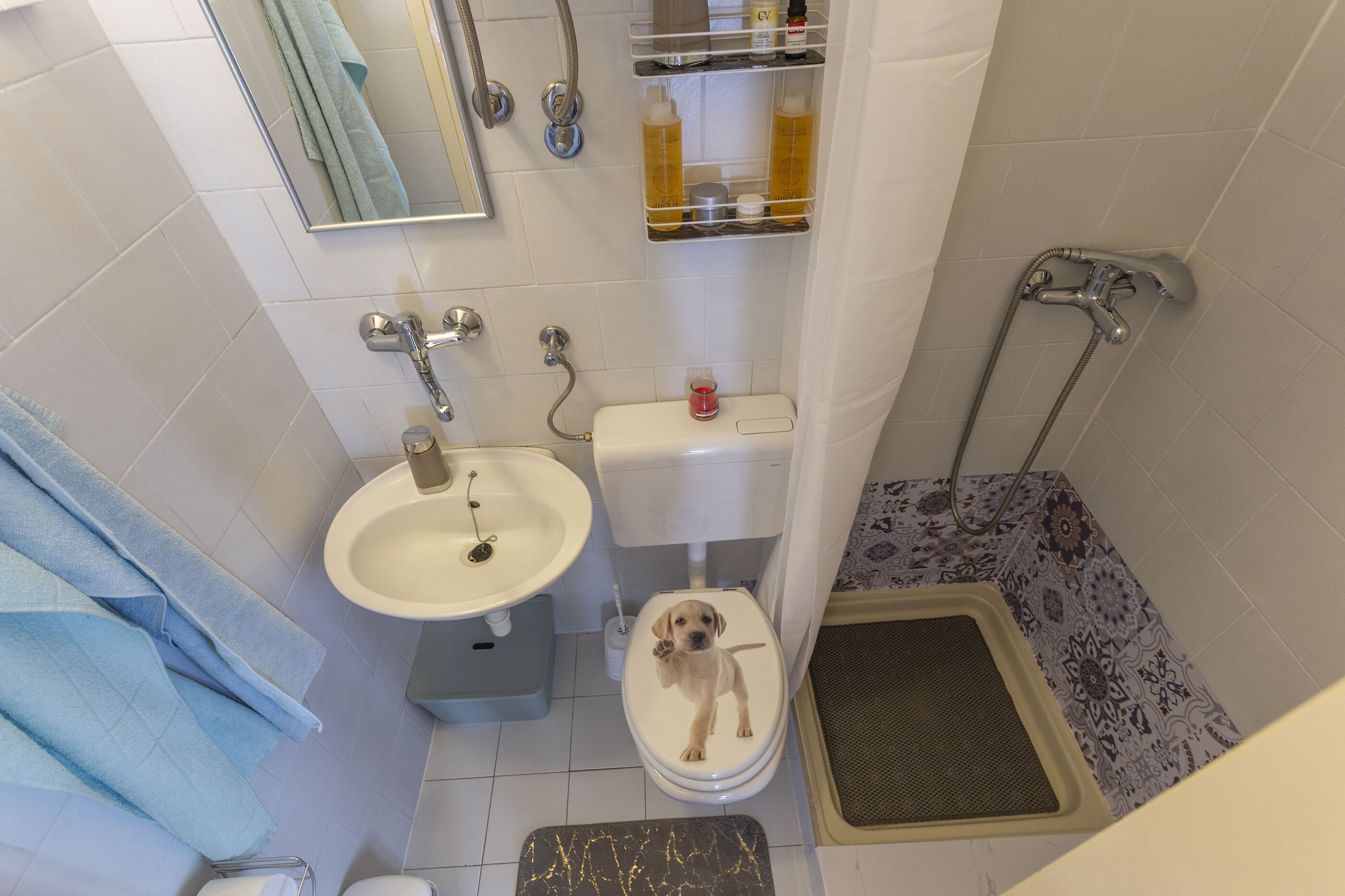 House Gioia Cristina 99391-K1