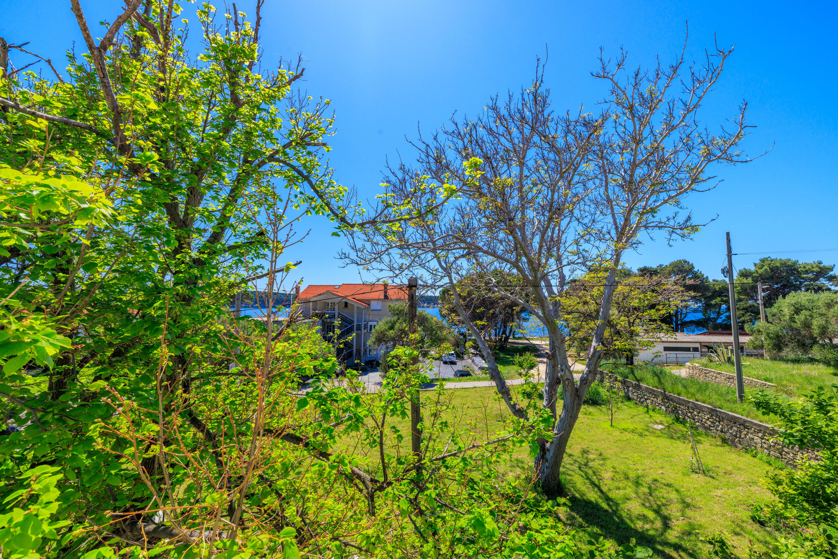 Apartments and Room Petar 94145-A2