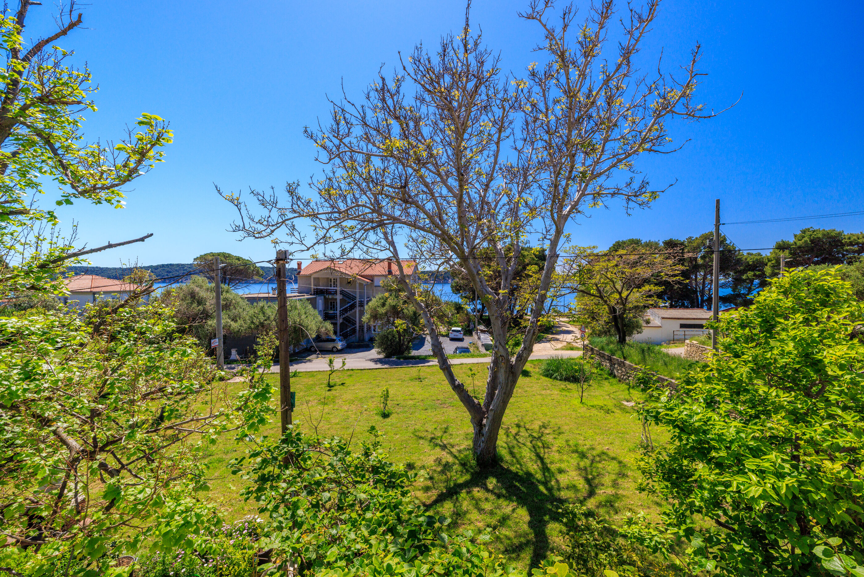 Apartments and Room Petar 94145-A3