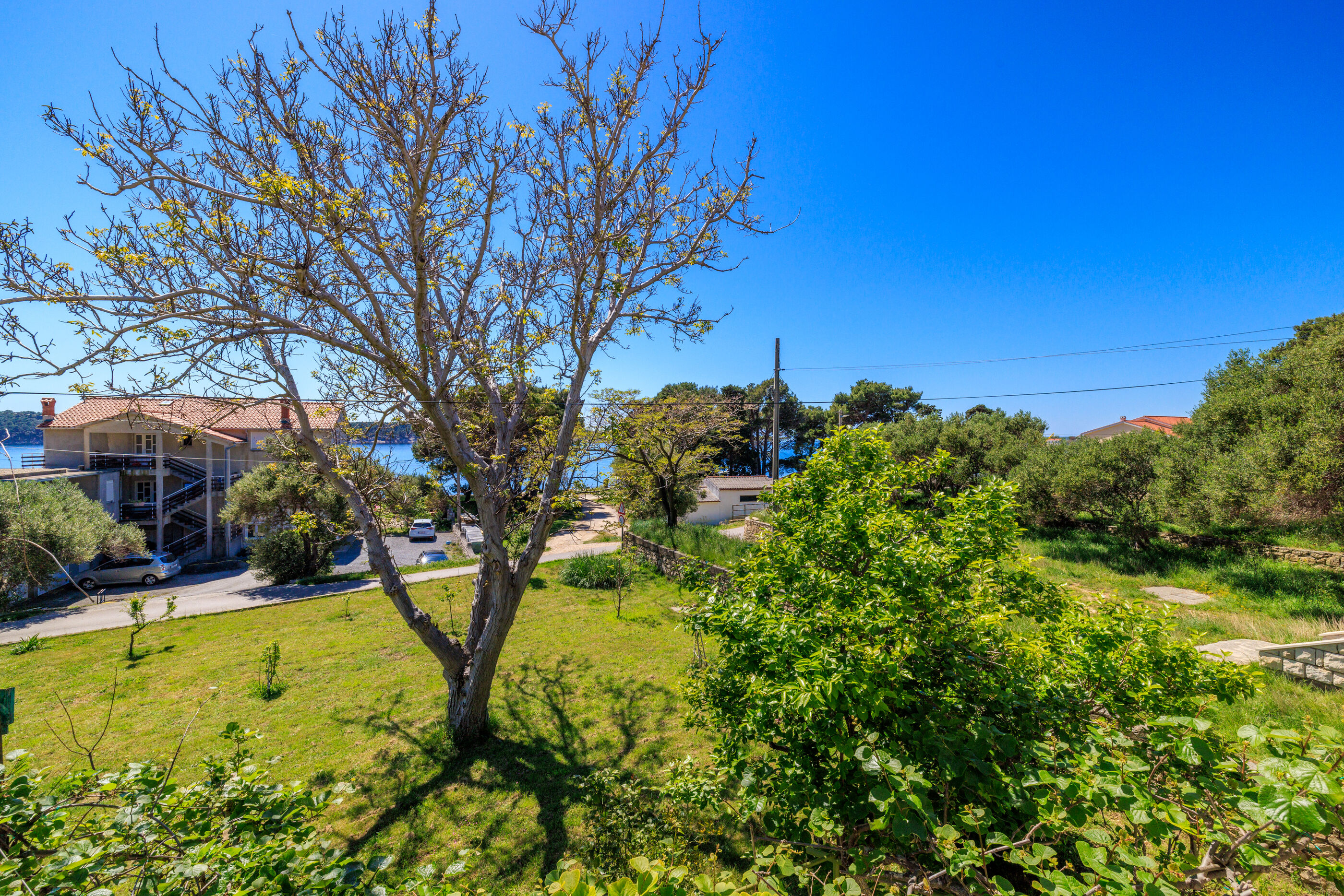 Apartments and Room Petar 94145-A3