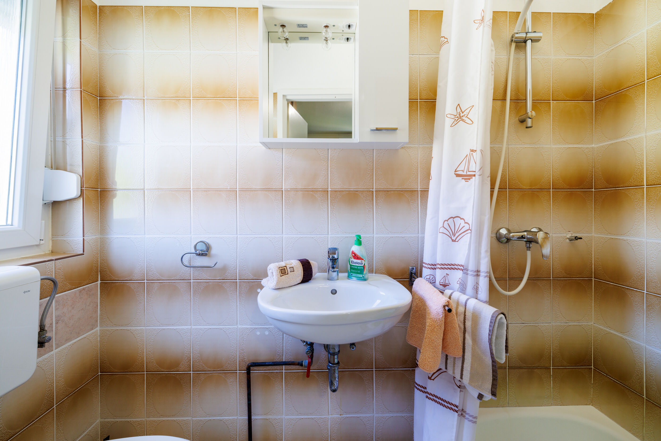 Apartments and Room Petar 94145-S1