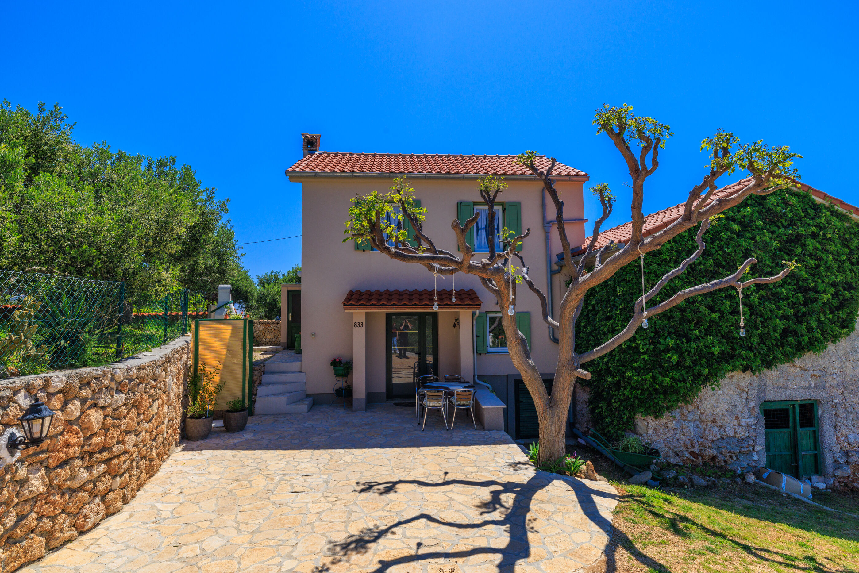 House Dragan D 97563-K1