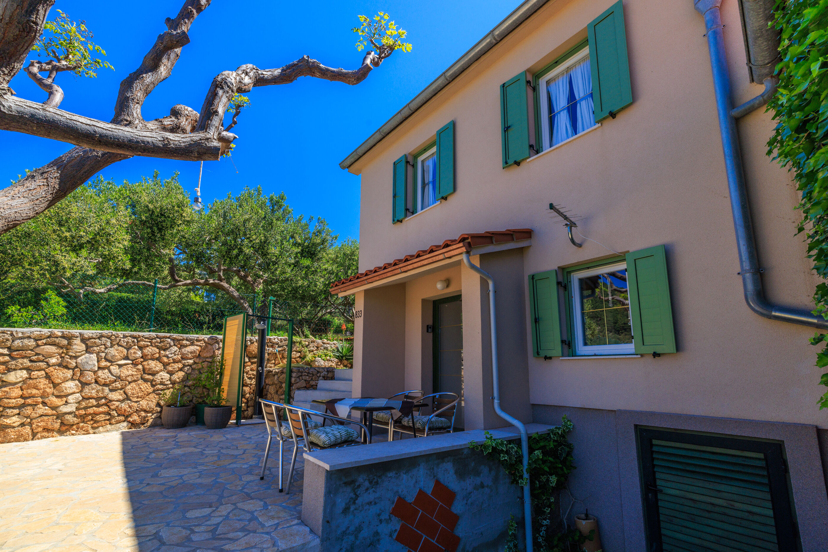 Photo of House Dragan D