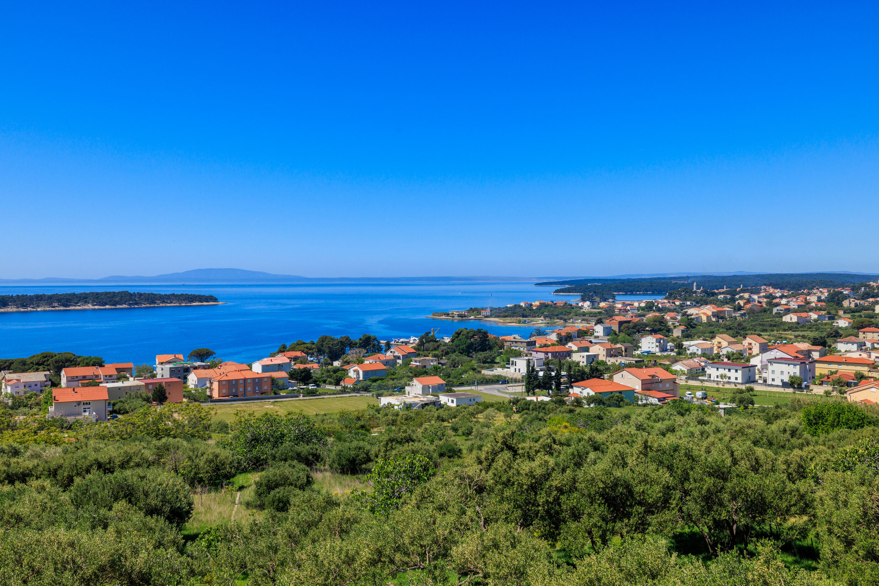 Photo of House Dragan D