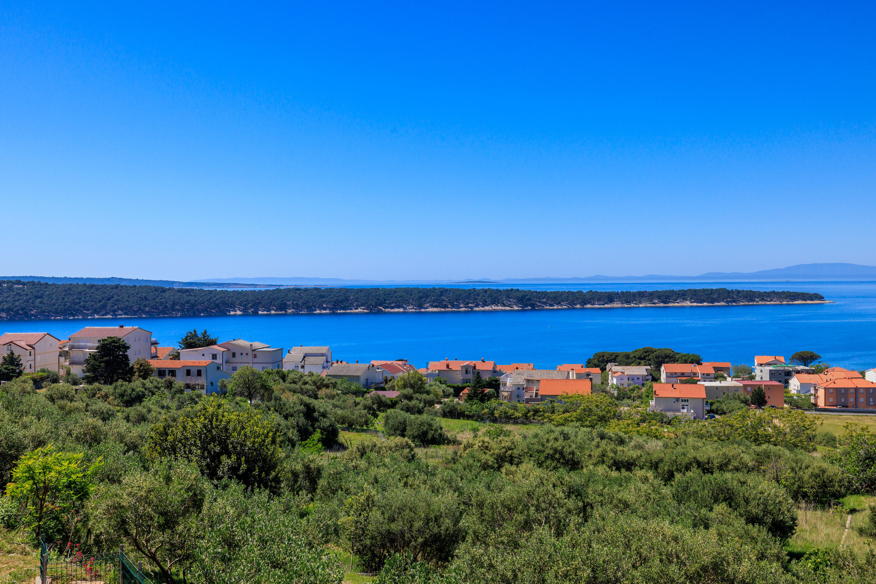 Photo of House Dragan D