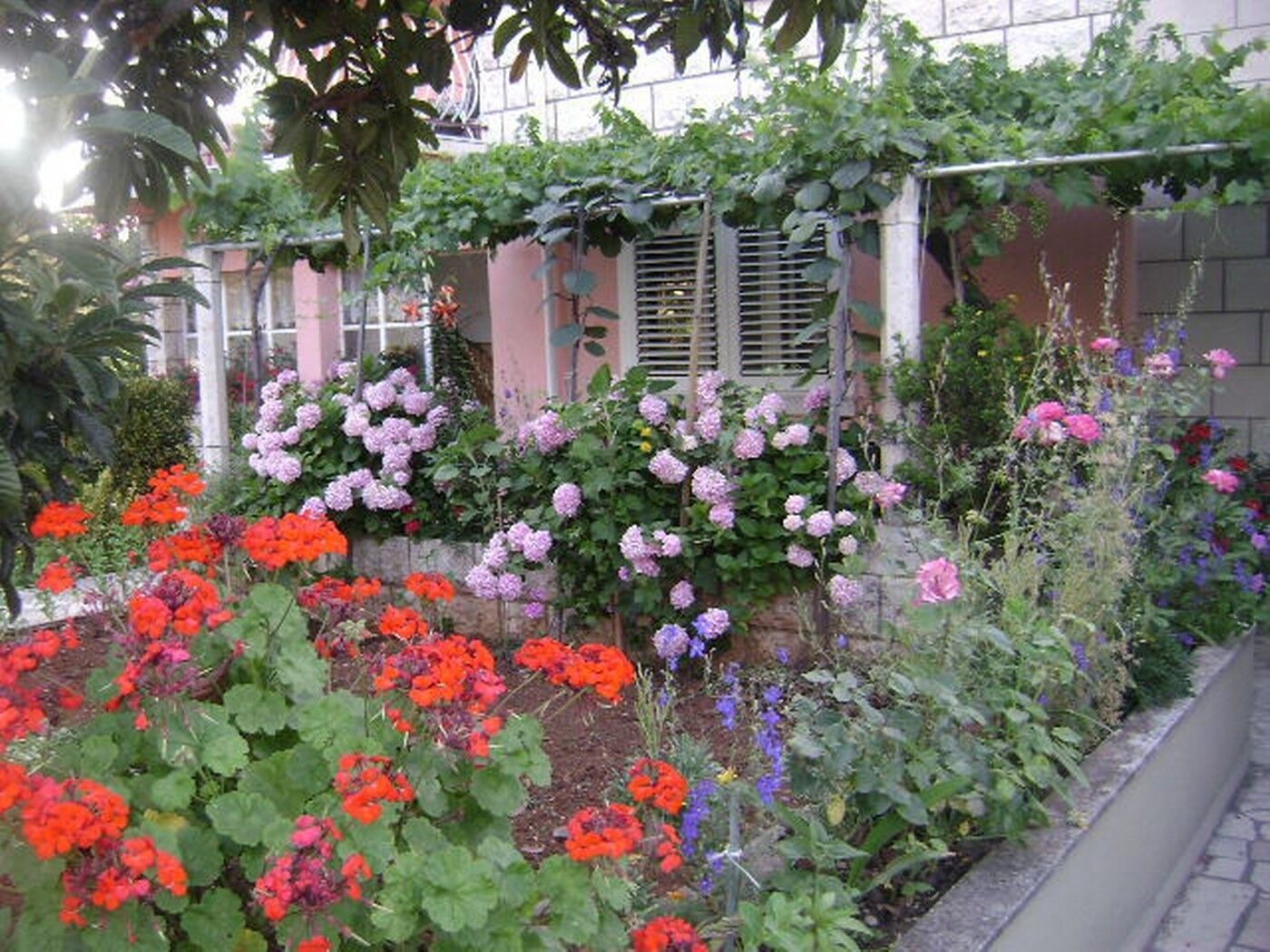 Photo of Apartments Liza