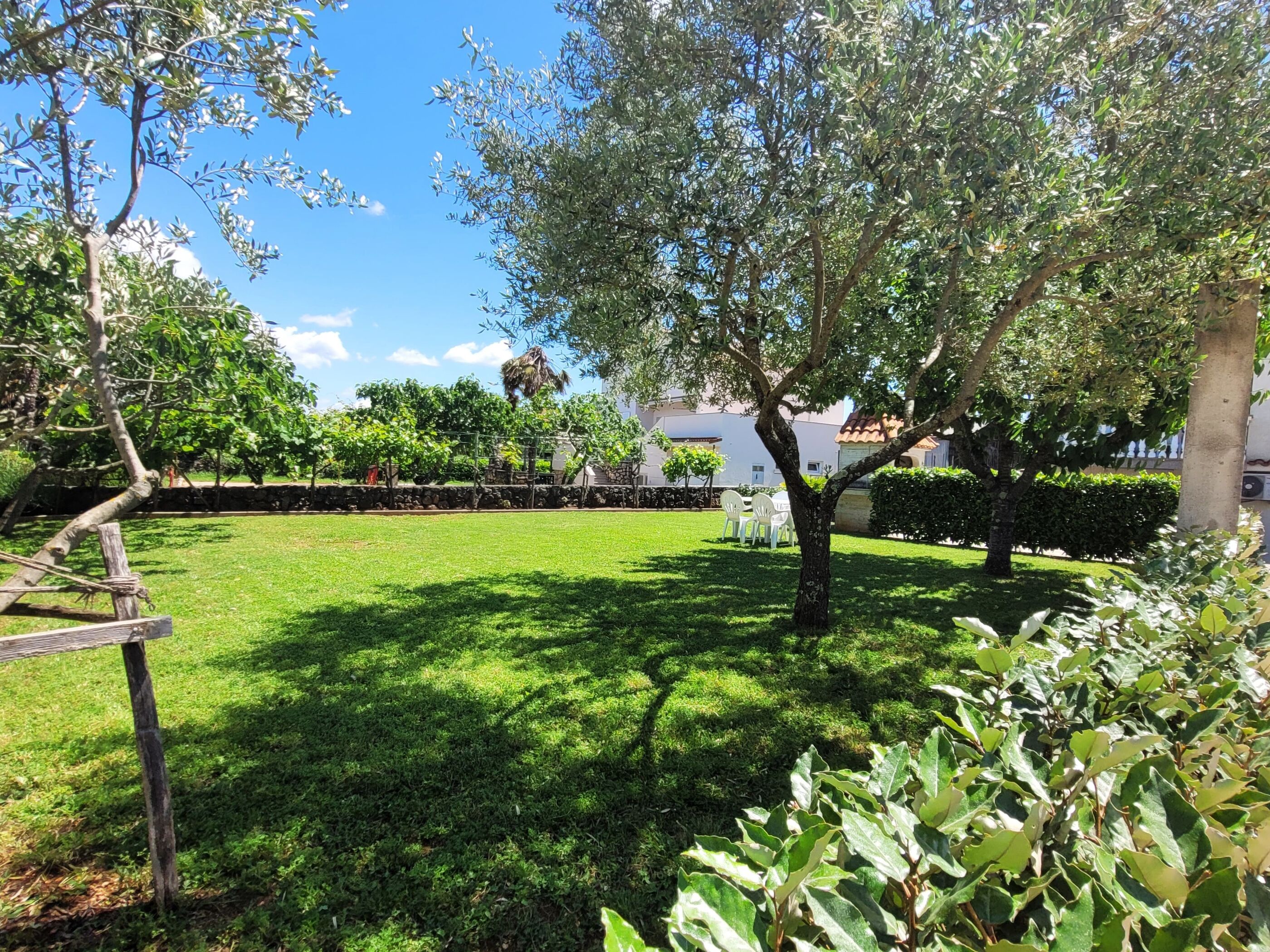Apartment Danica 62016-A1