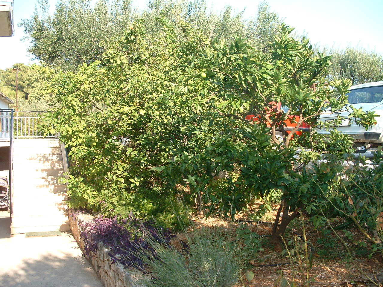 Apartments Mer 10184-A2