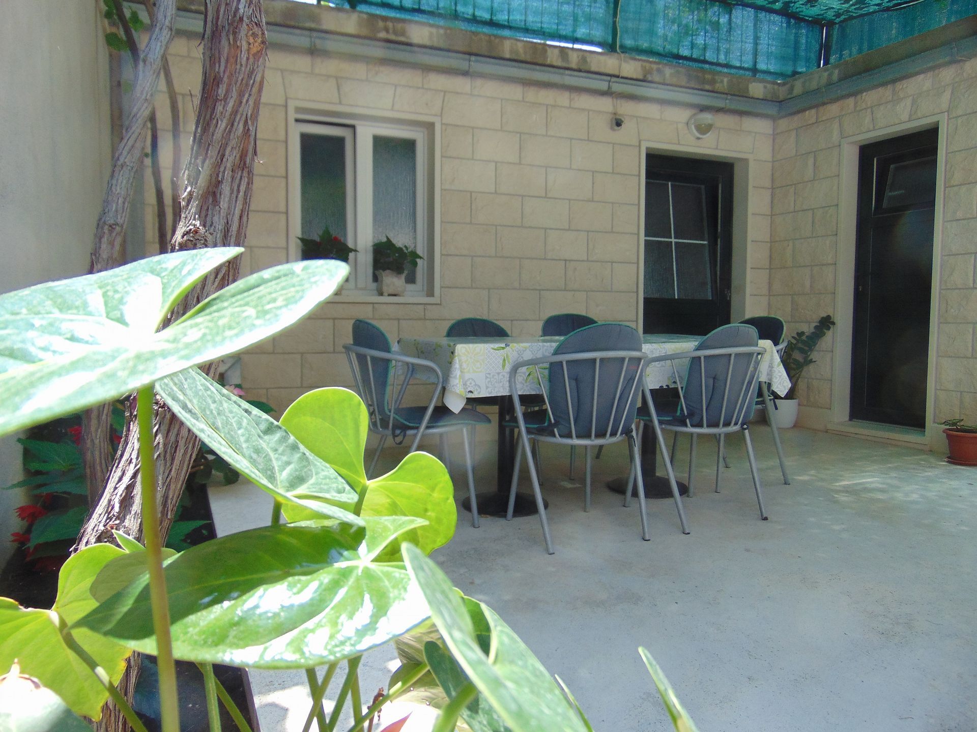Apartment Fran 10187-A1