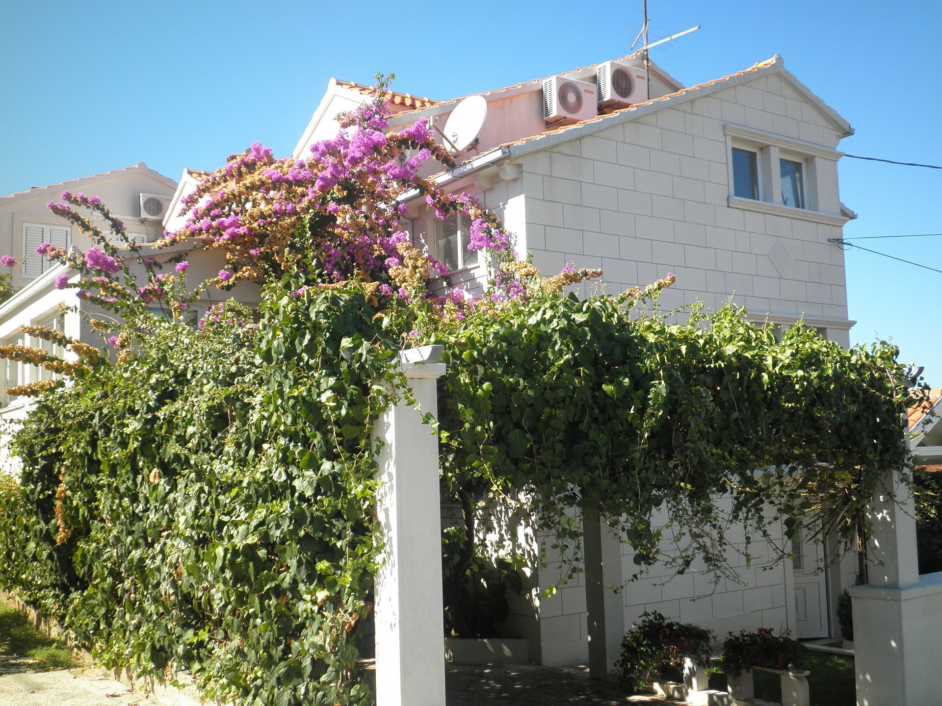 Apartment Aldica 101941-A1