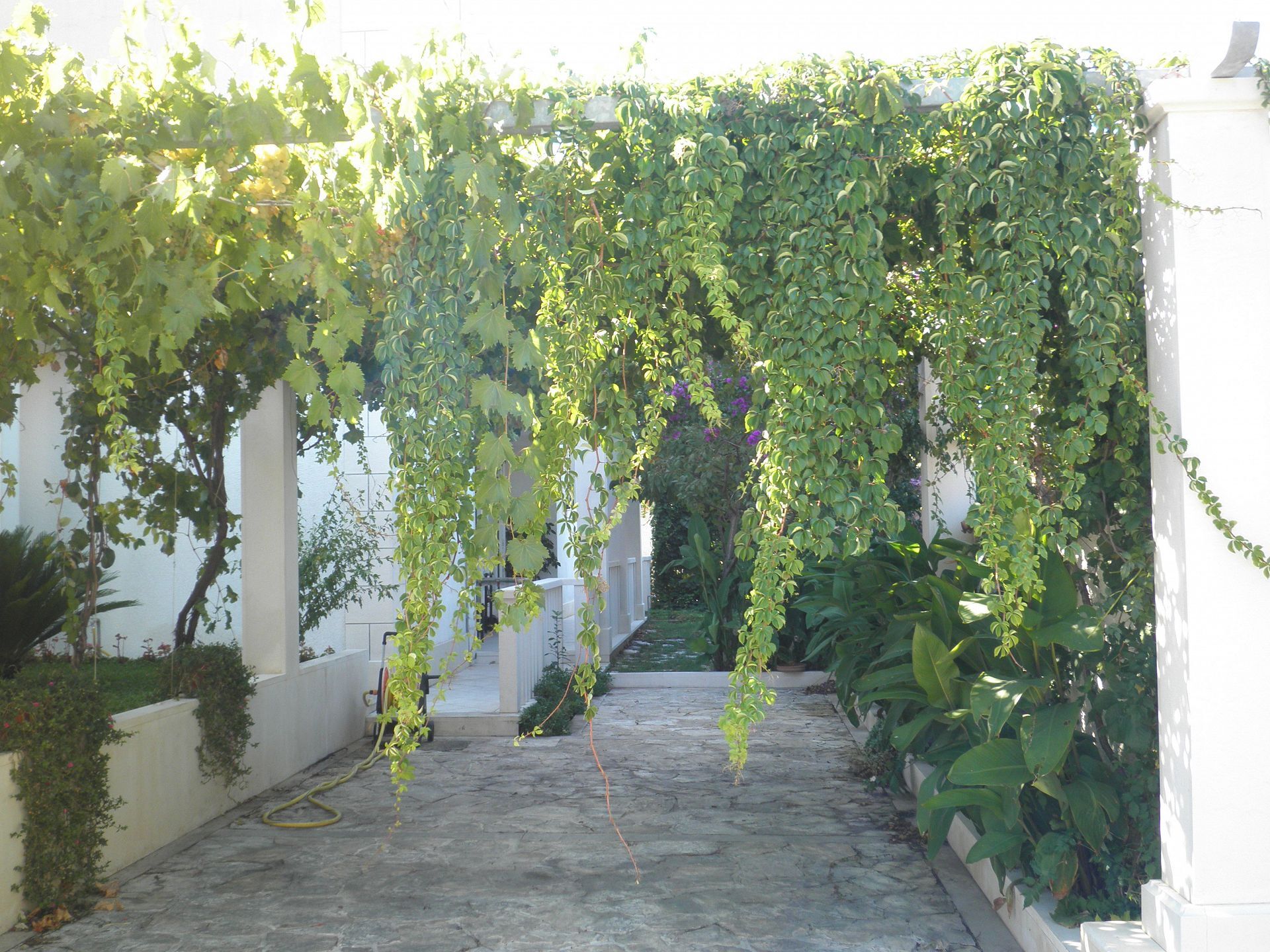 Apartment Aldica 101941-A1