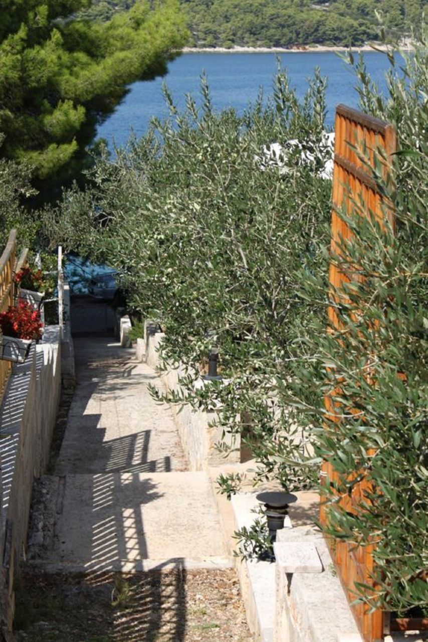 Apartment Jagoda 10205-A3