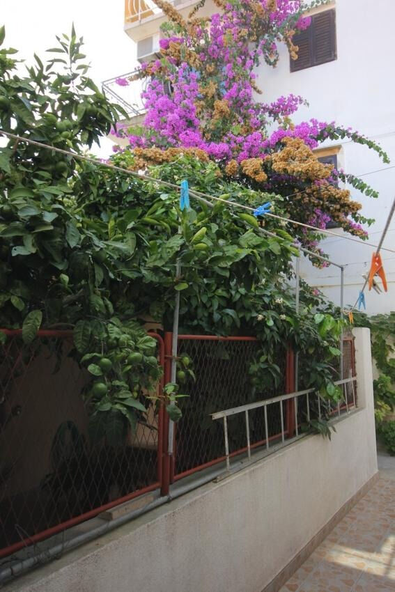 Apartmani Zoki A2