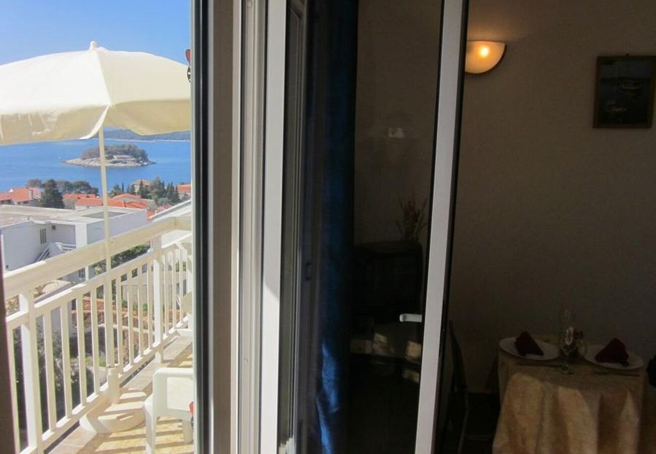 Apartments and Room Dar 102071-A1