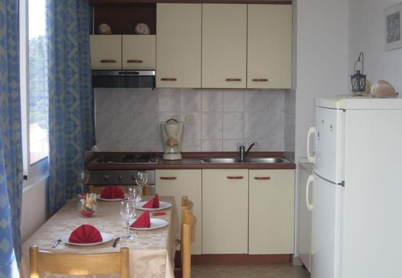 Apartments and Room Dar 102071-A2