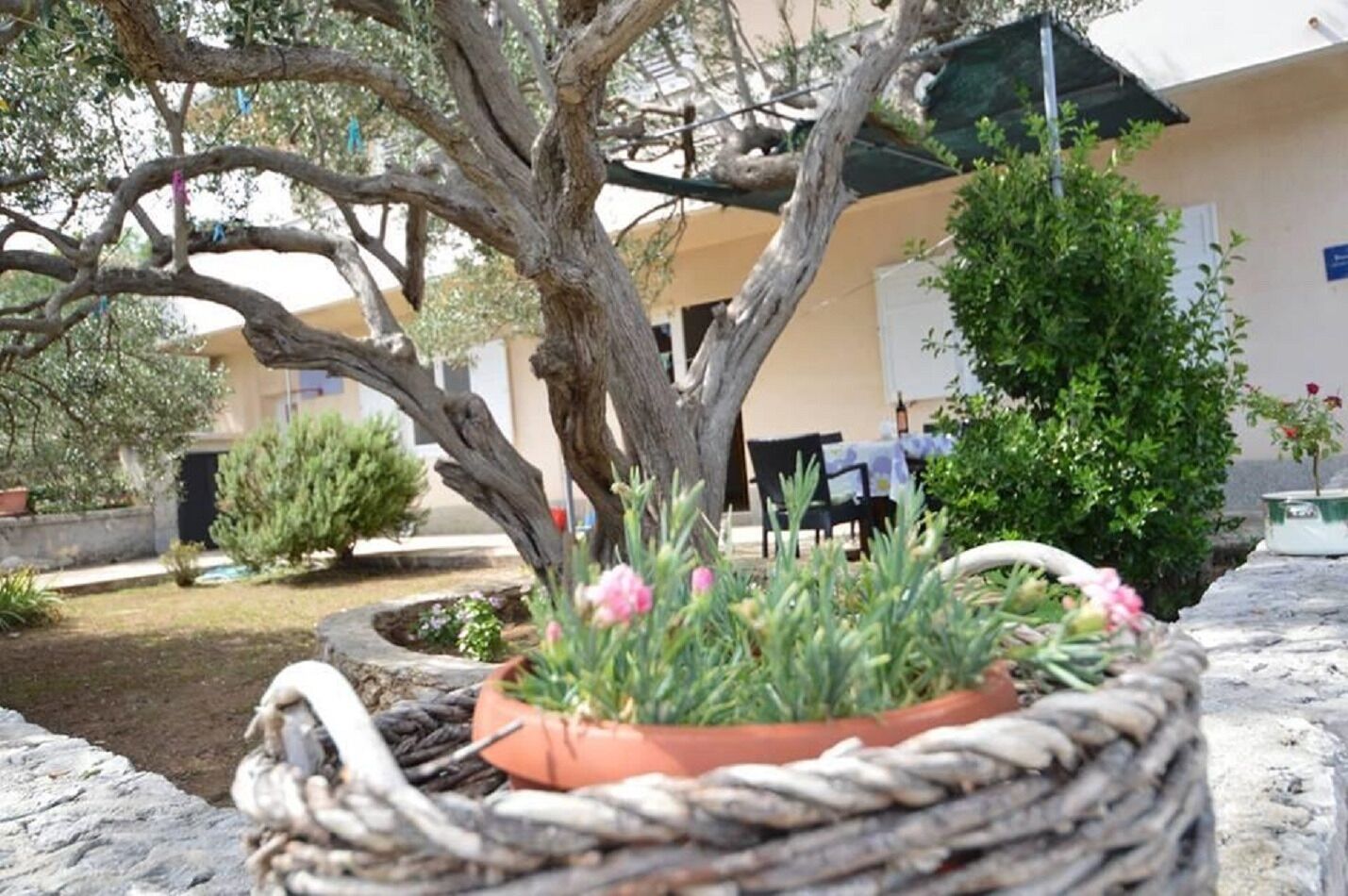 Apartment Martina 10222-A2