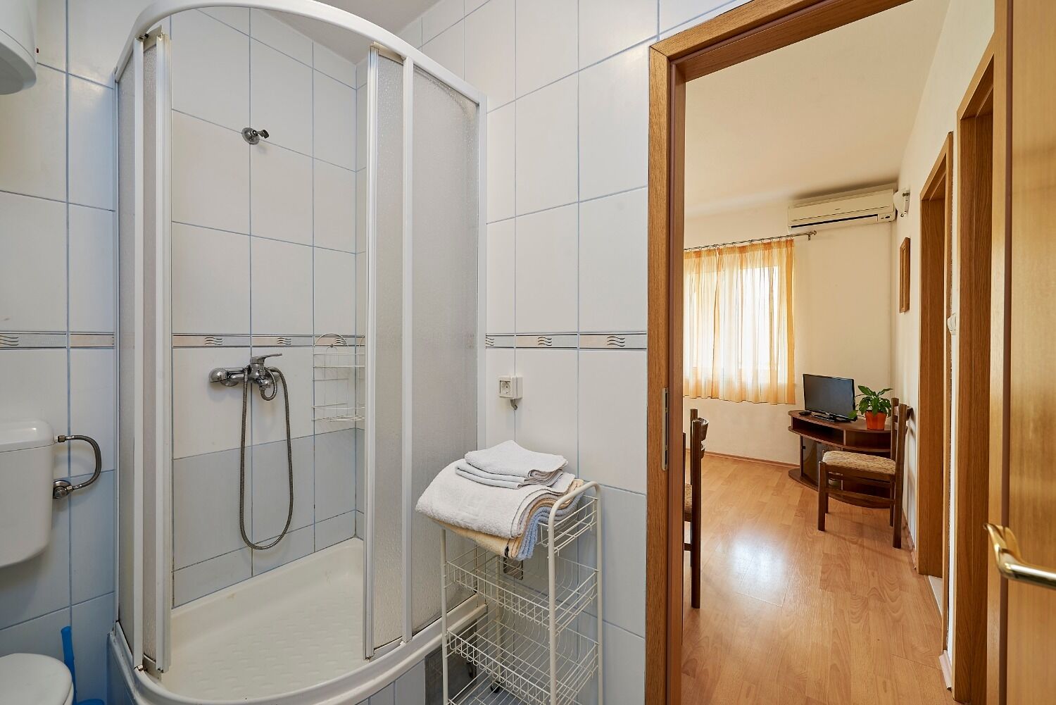 Apartment Ivanka 102261-A1