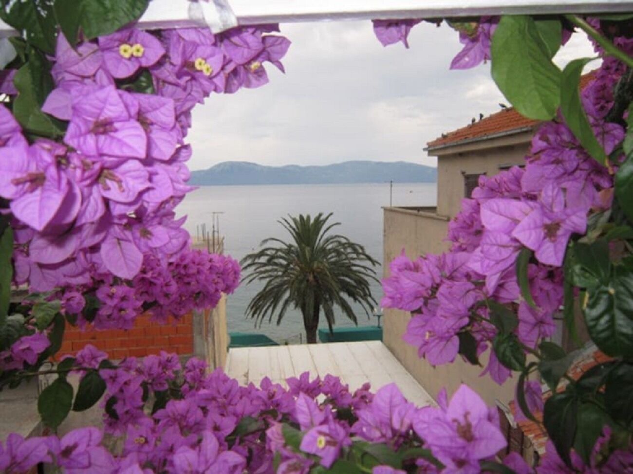 Apartment Graci 102281-A1