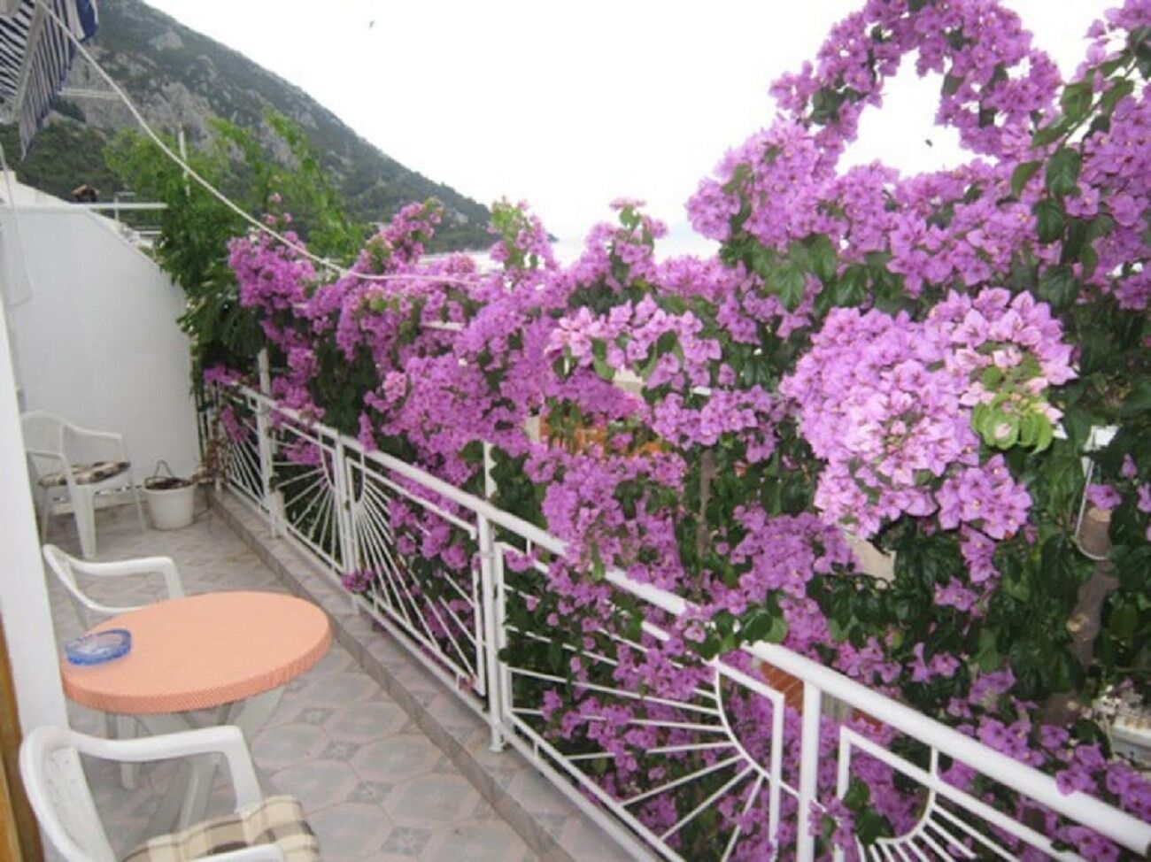 Apartment Graci 102281-A1