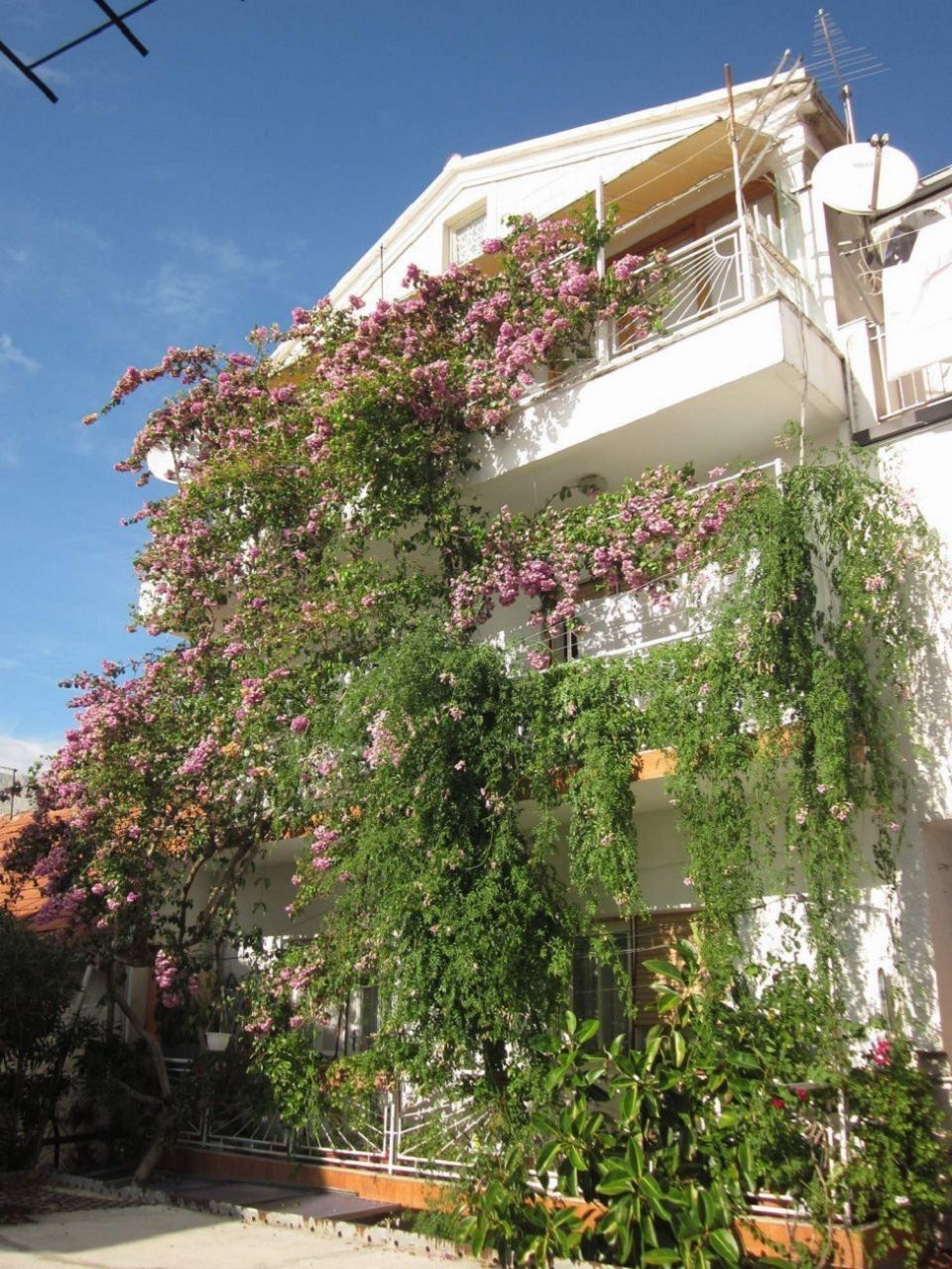 Apartment Graci 102281-A1