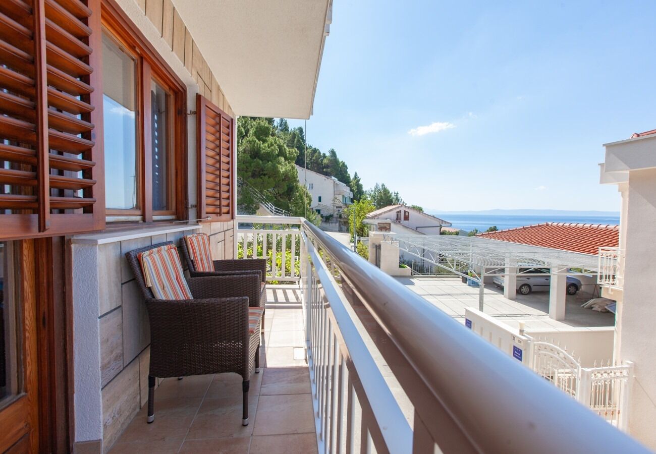 Apartment Ante M 10242-A1