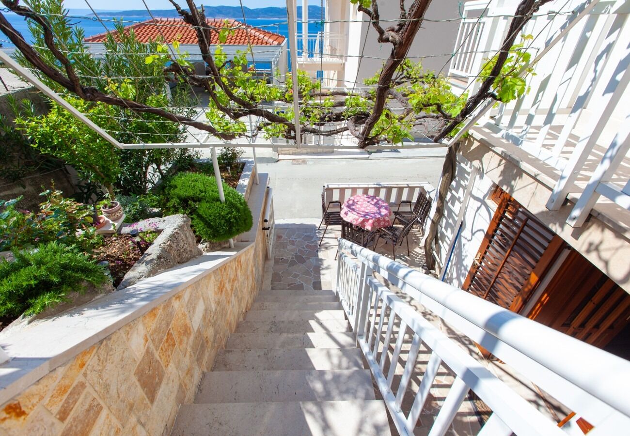 Apartment Ante M 10242-A2