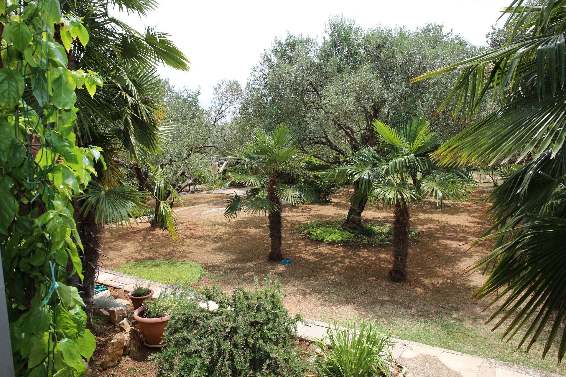 Apartments Araz 10253-A1
