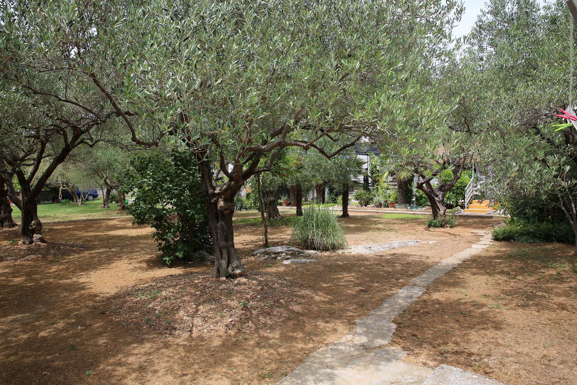 Apartments Araz 10253-A2