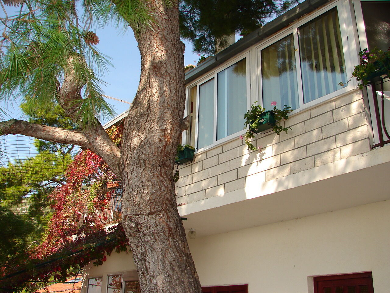 Apartments and Rooms Roza 102651-S3