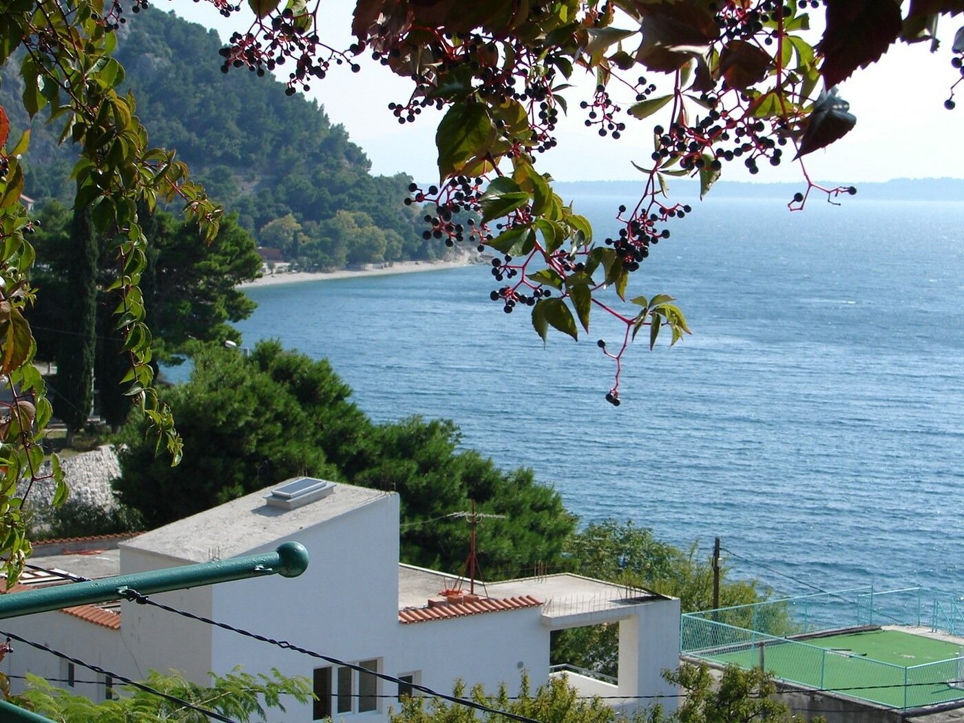 Apartments Gogi 102671-A2
