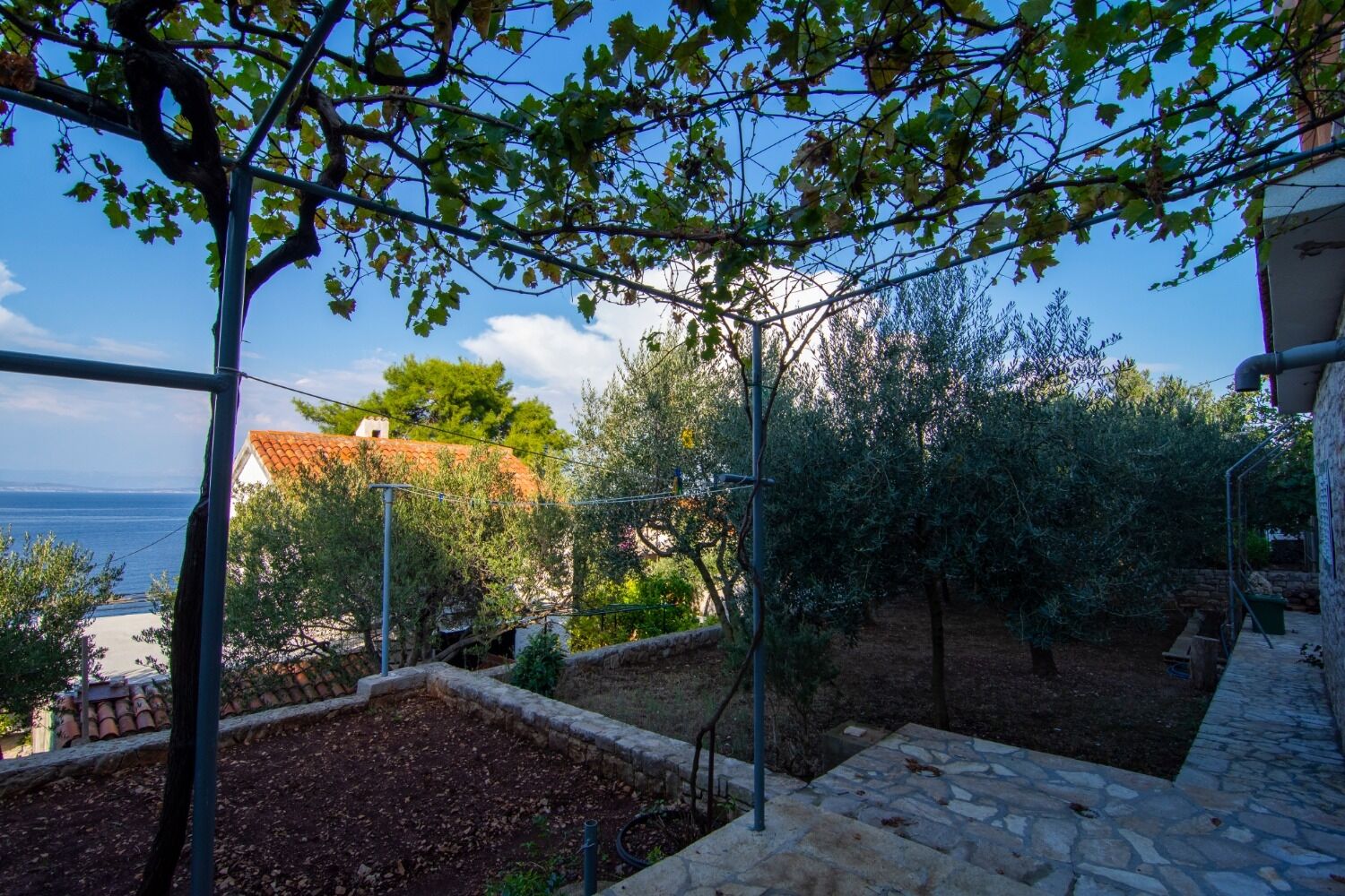Apartments Mari 102711-A1