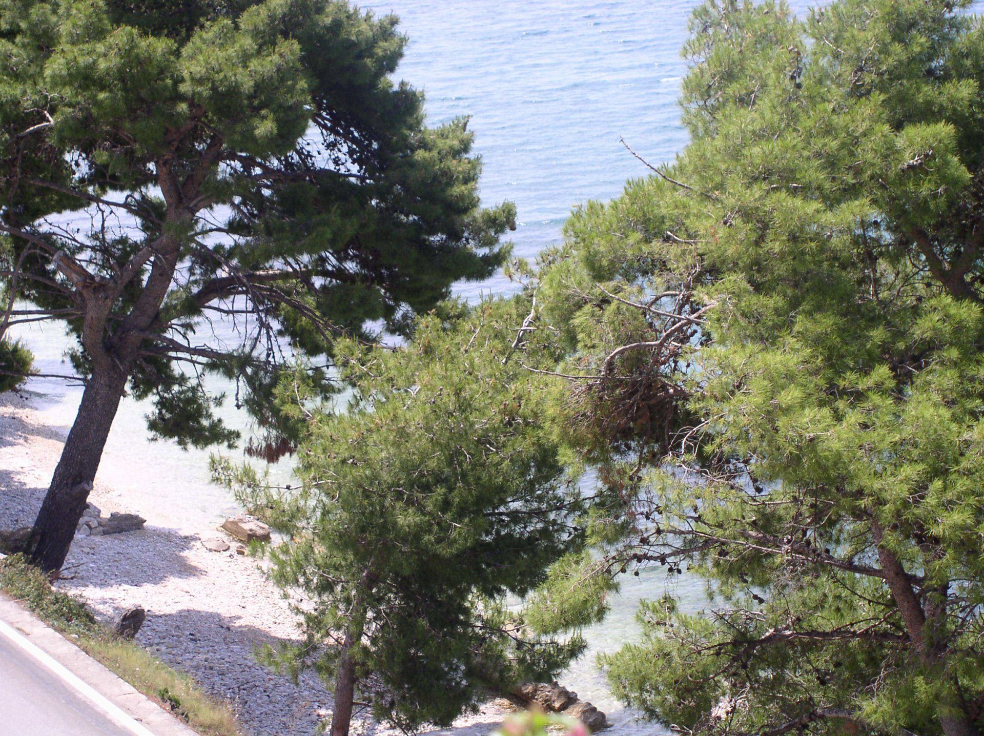 Apartments Milica 102721-A1