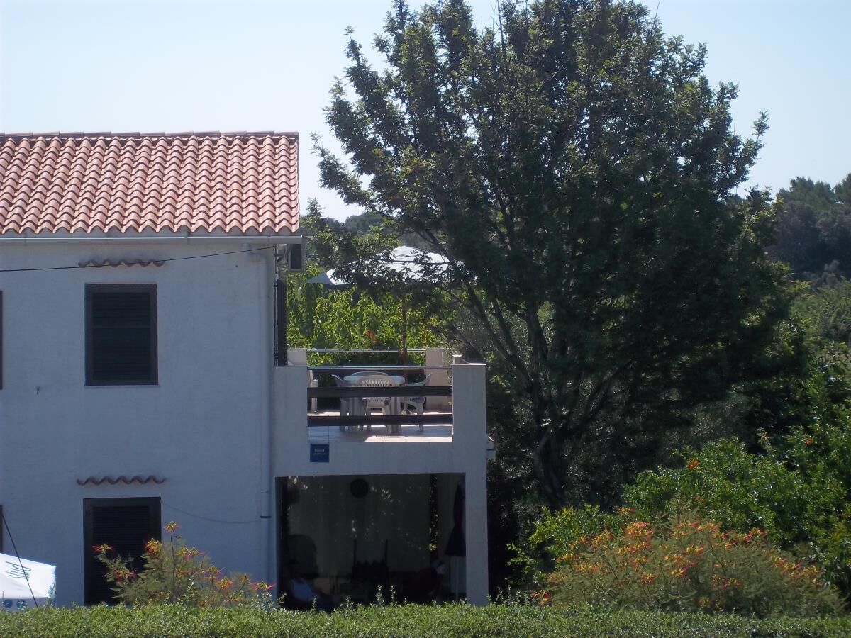 Apartment Branka 102741-A1