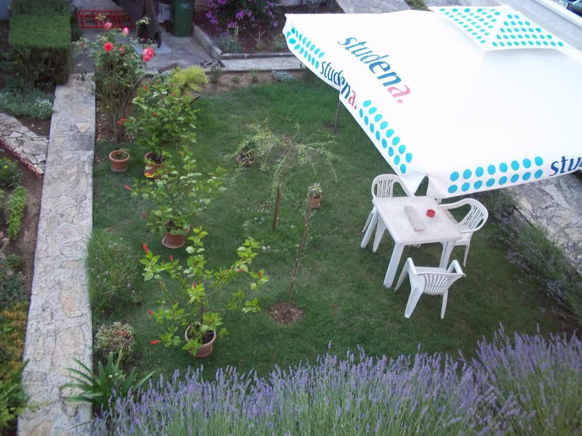 Photo of Apartment Branka