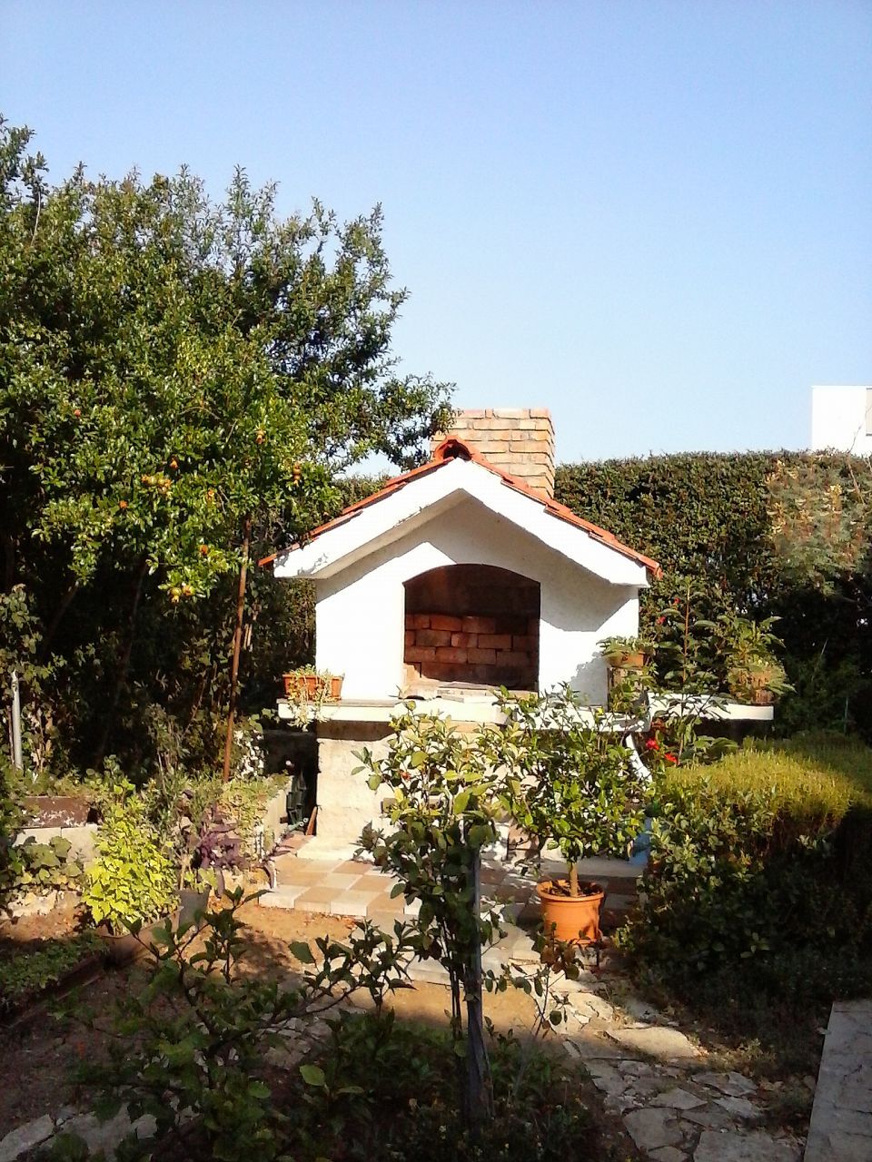 Photo of Apartment Branka