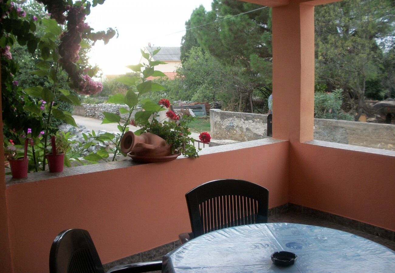 Apartments Midi 102751-A1