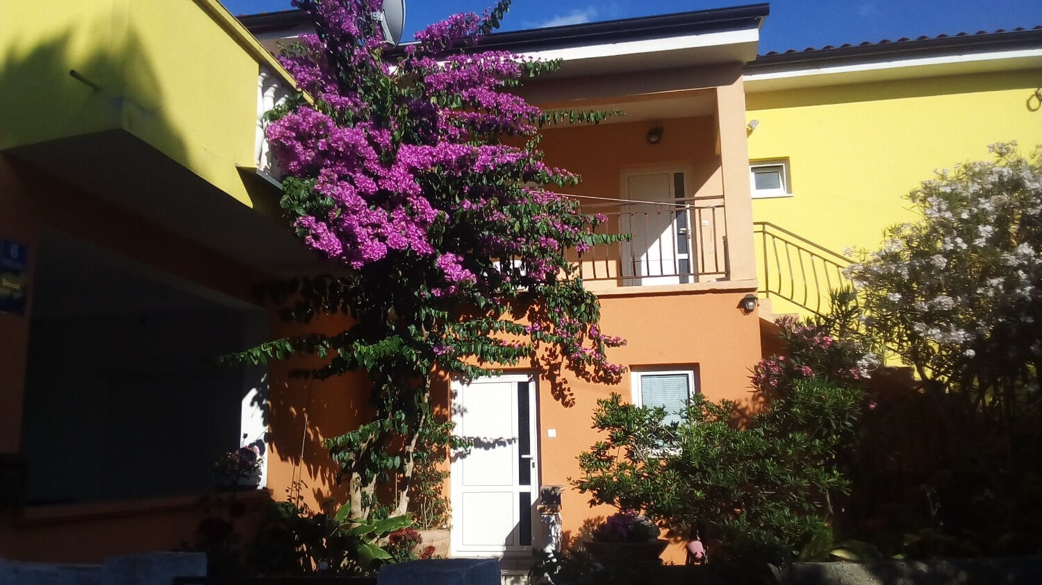 Apartments Midi 102751-A1