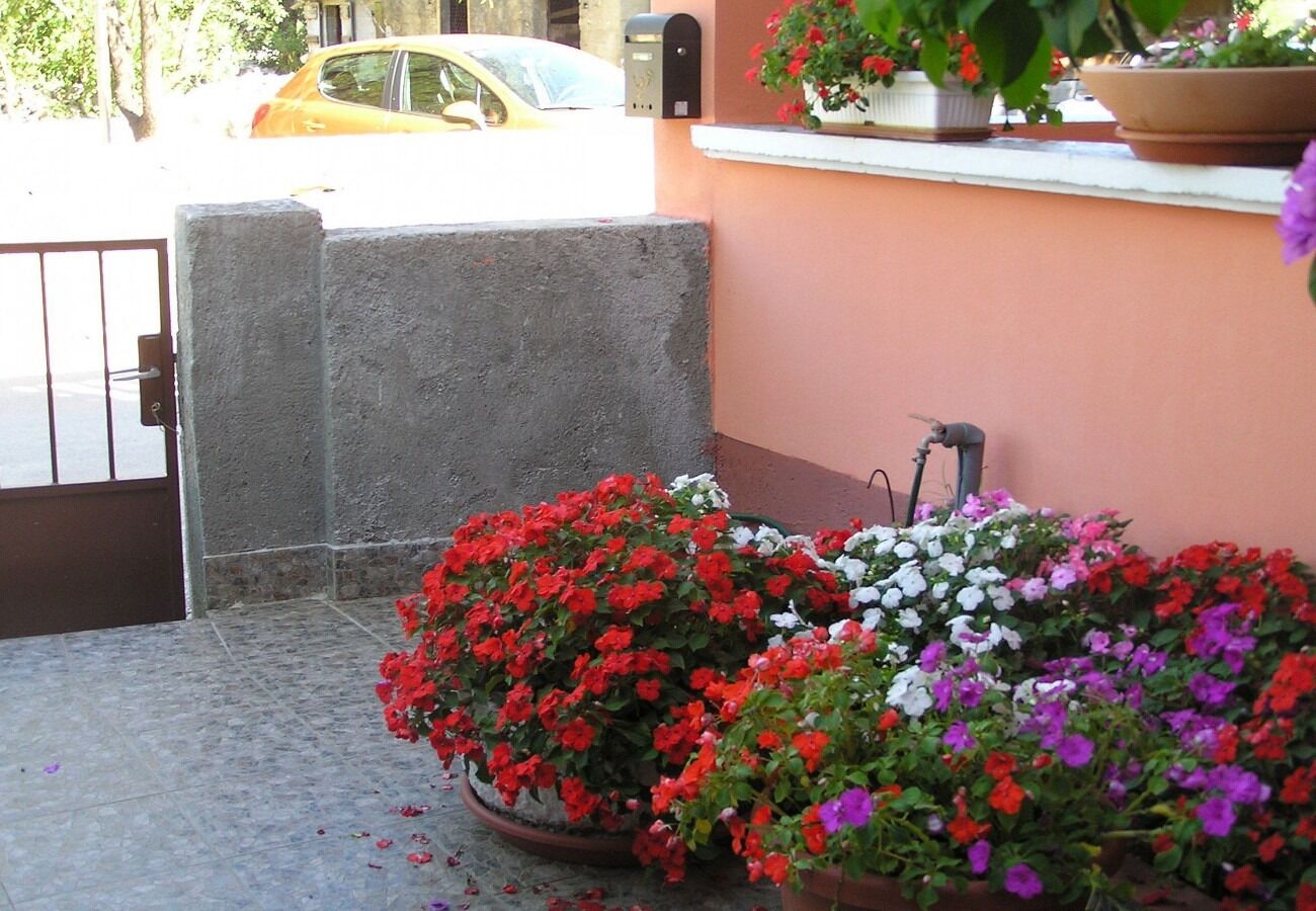 Photo of Apartments Midi