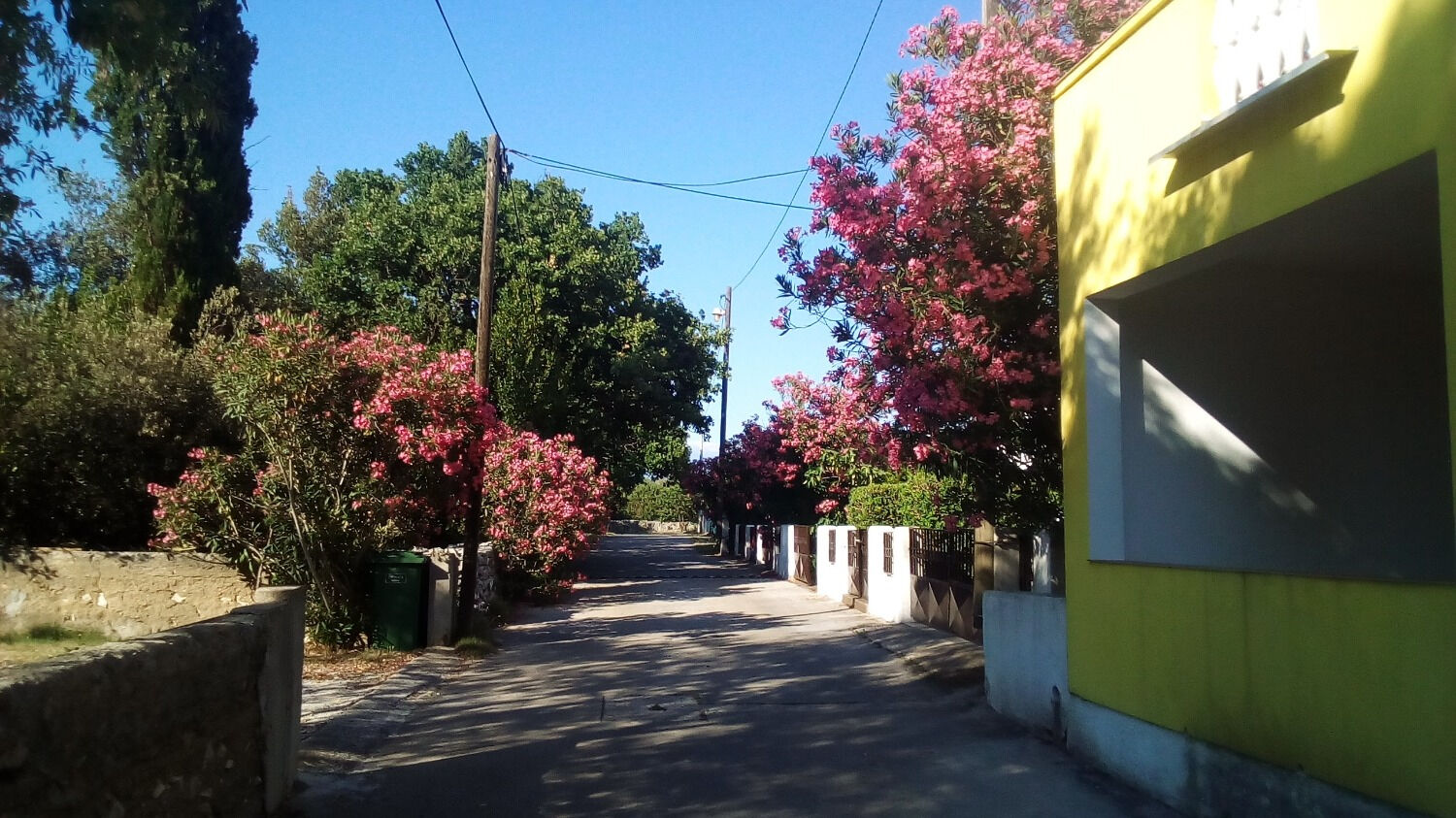 Photo of Apartments Midi