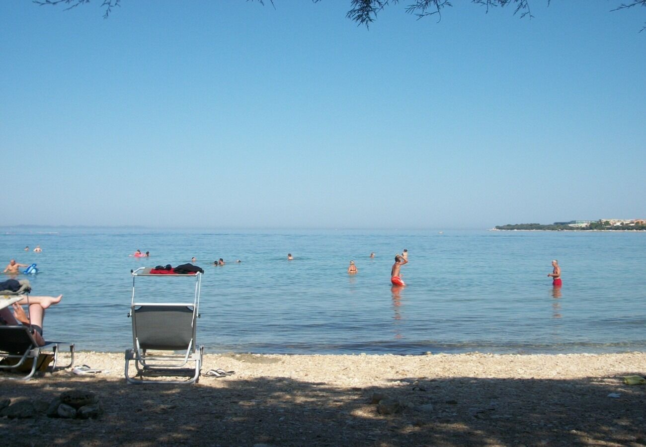 Photo of Apartments Midi