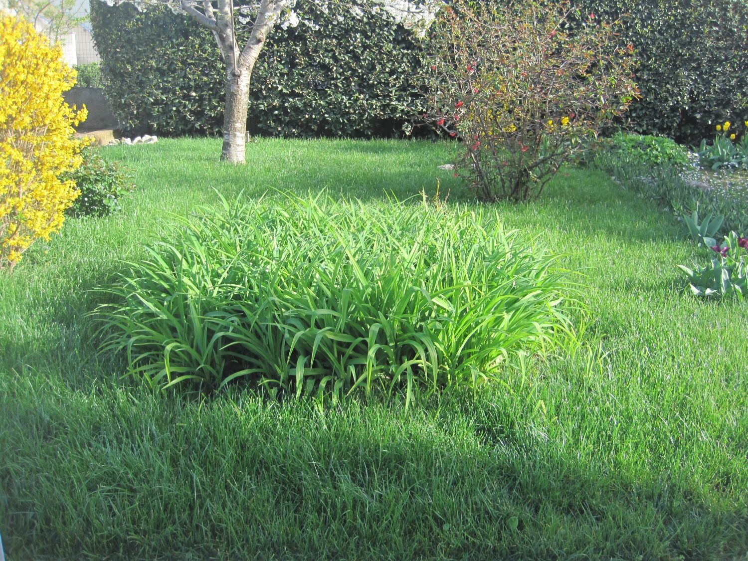 Photo of Apartment Ivan