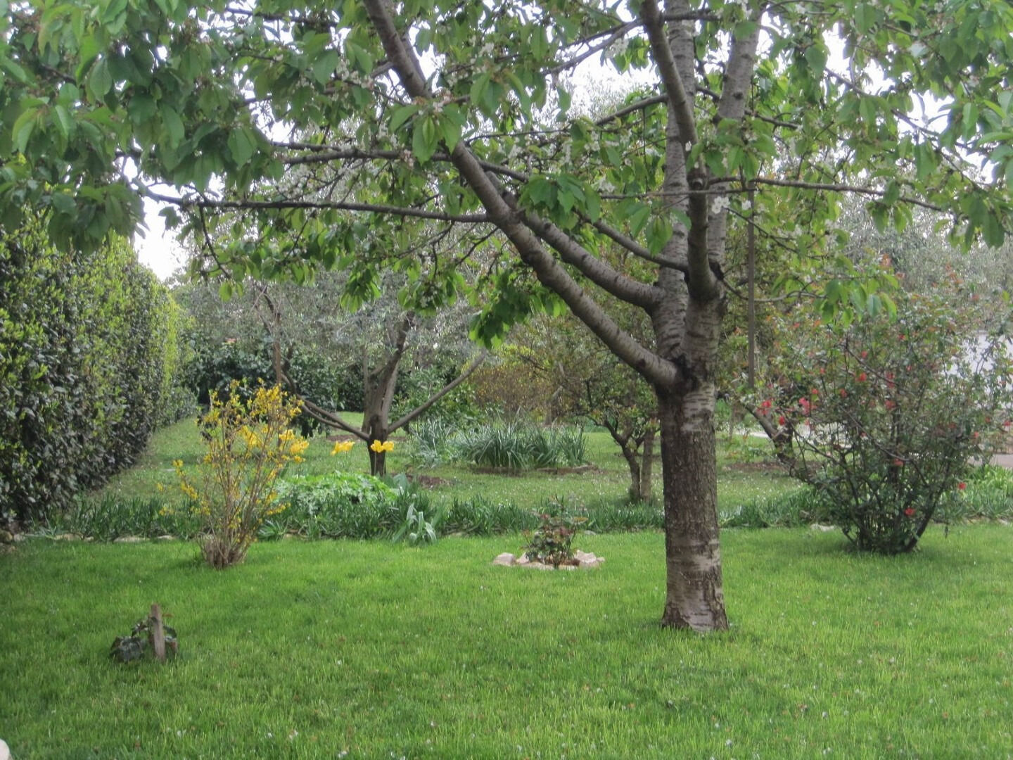 Photo of Apartment Ivan