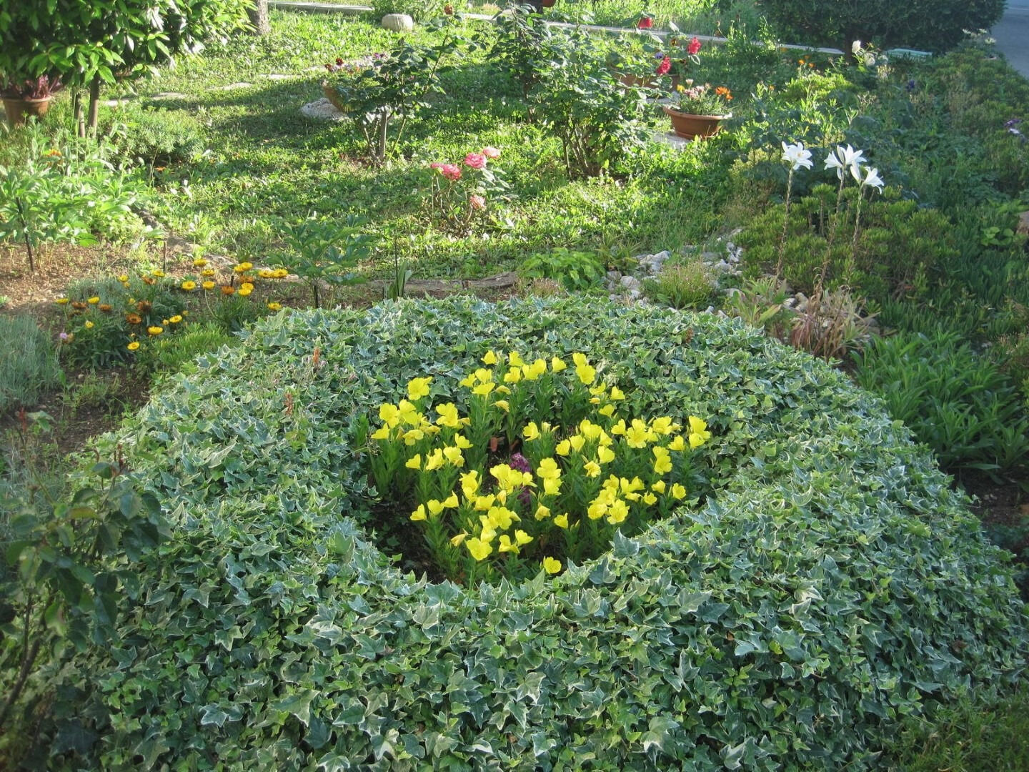 Photo of Apartment Ivan