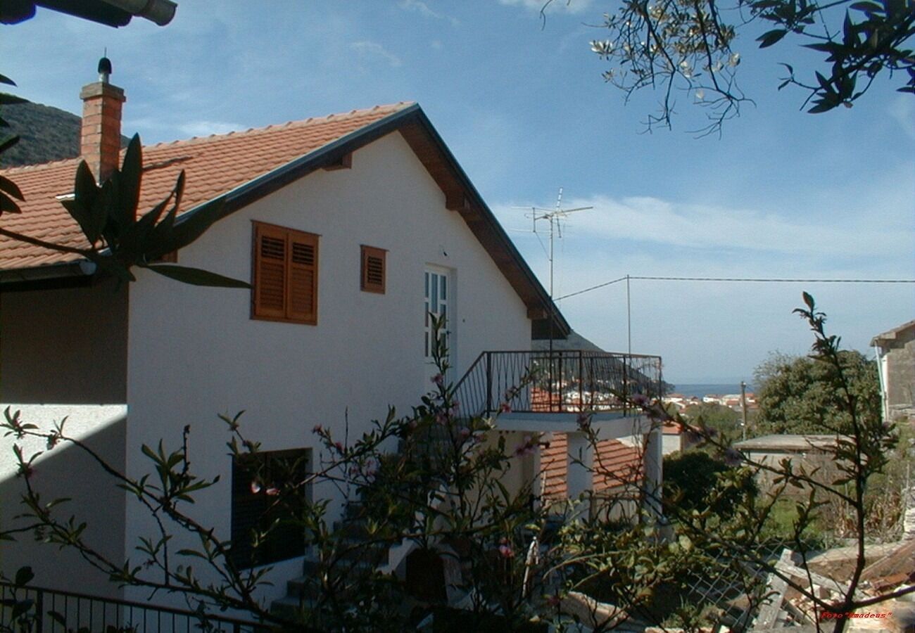 Apartman Vido A1