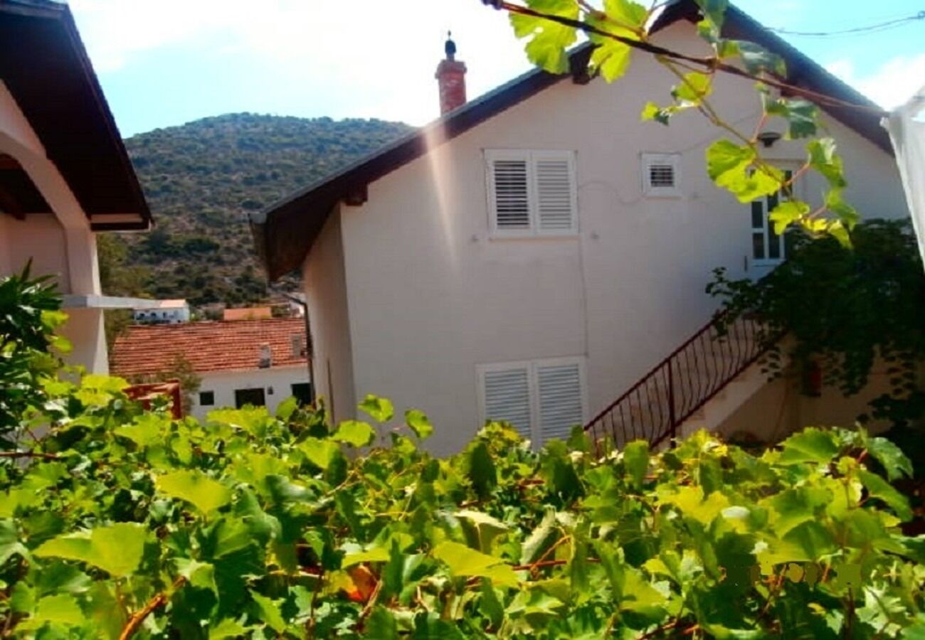 Apartment Vido 102831-A1